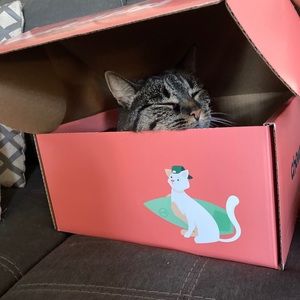 Meet your Posher, Michael